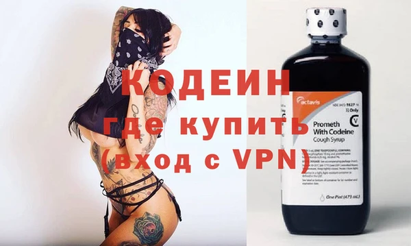 хмурый Алексин