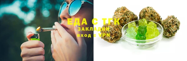 хмурый Алексин