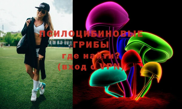 сатива Алексеевка
