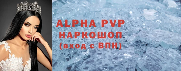 хмурый Алексин