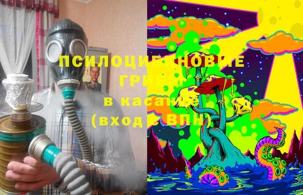 сатива Алексеевка