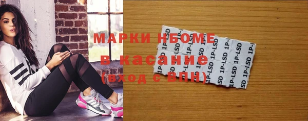 хмурый Алексин