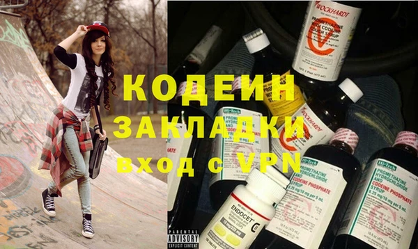 хмурый Алексин