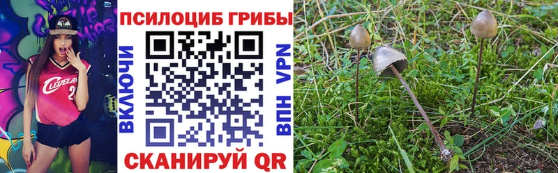 Галлюциногенные грибы мухоморы  Пучеж 